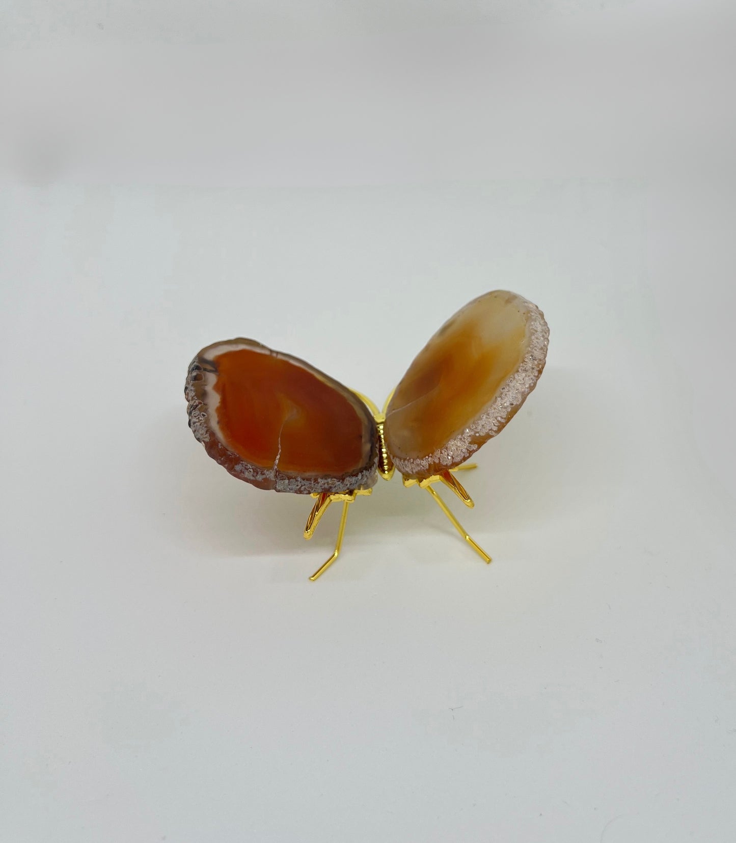 Kleine agaatvlinder